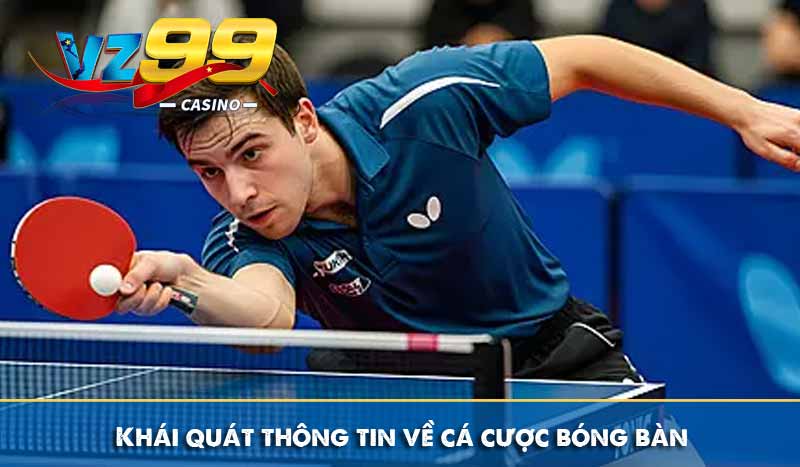 Cá Cược Bóng Bàn - Hướng Dẫn Cược & Chia Sẻ Mẹo Hay Mới Nhất 5 Khái quát thông tin về cá cược bóng bàn